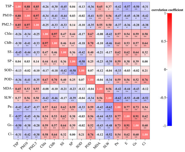 Correlation between leaf dust retention, photosynthetic and physiological traits of five evergreen tree species.