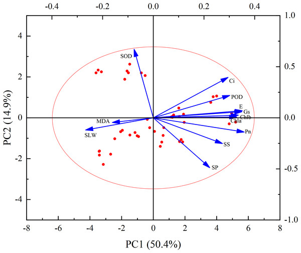 Principal component analysis biplot of leaf physiological and biochemical traits.