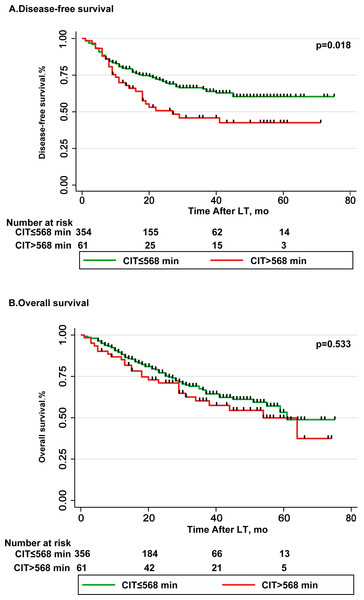 Comparison of disease-free survival and overall survival in CIT ≤568 min group and CIT >568 min group.