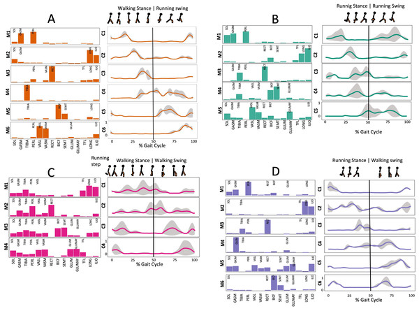 Muscle synergy modules and activation time profiles of WRT (A, B) and RWT (C, D).