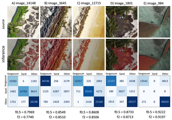 Sargassum 
$f0.5$f0.5
 metric consider all classes.