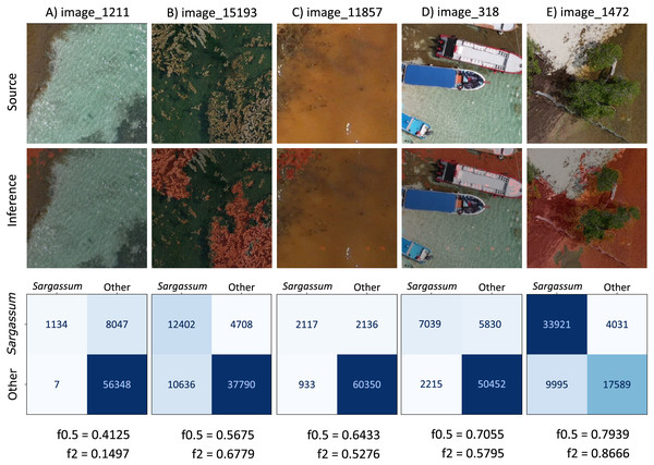 Sargassum f0.5-score metric consider only Sargassum class.