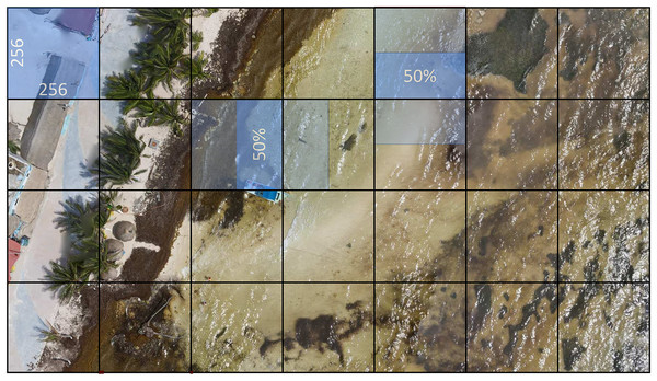 The very high-resolution image is divided into 256 × 256 pixel windows with a 50% overlap to assist in making the most of the input data information and contribute to robust and accurate model performance.