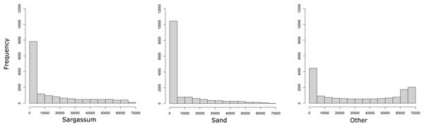 Histograms reveal that most images have few pixels for “Sargassum” and “sand,” making them difficult to distinguish.