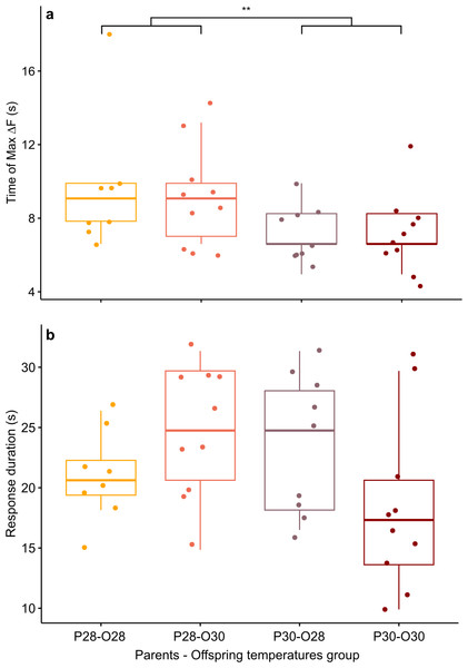 Mean time of maximum calcium fluorescence (time of max ΔF/F; (A) and mean duration (B) of the telencephalon response to CAC in zebrafish larvae exposed to Conspecifics Alarm Cue (CAC).