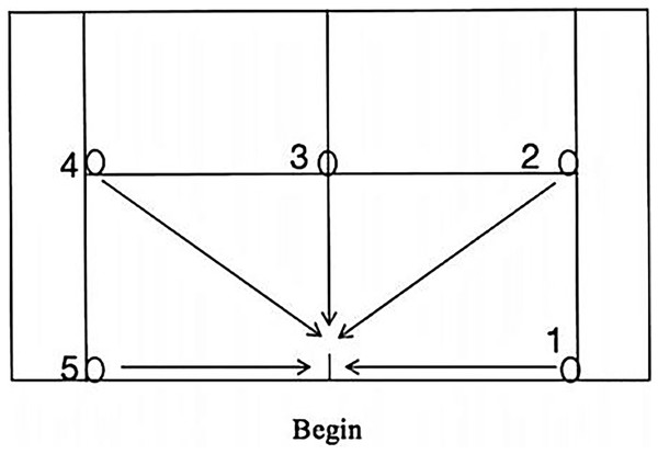 Spider run test diagram.