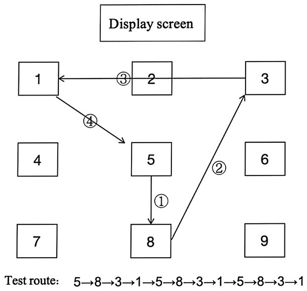 Route map of reactive agility test.