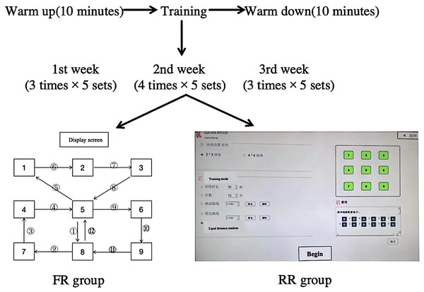 Training produce diagram.