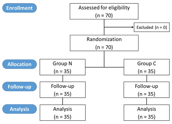 CONSORT diagram of the study.