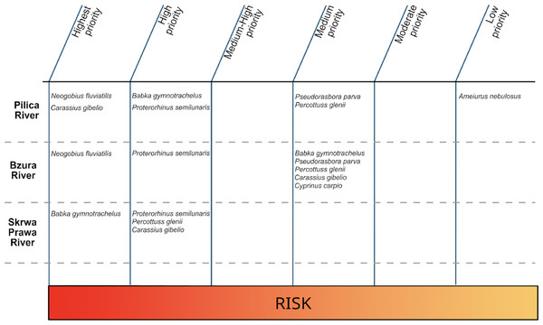 Ranking of established non-native fish species for management targeting populations in (a) Pilica, (b) Bzura and (c) Skrwa Prawa Rivers following the assessment with the Dispersal-Origin-Status-Impact (DOSI) scheme.