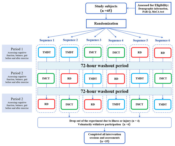 Flow diagram of the study design.