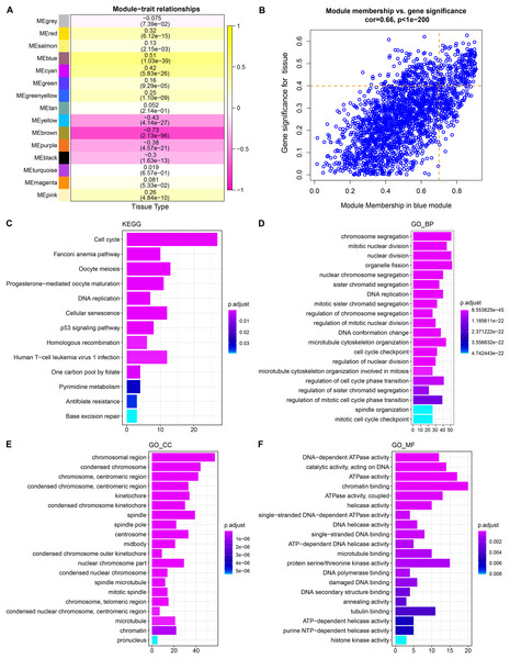 Identification and functional characterization of LUAD-related gene modules.