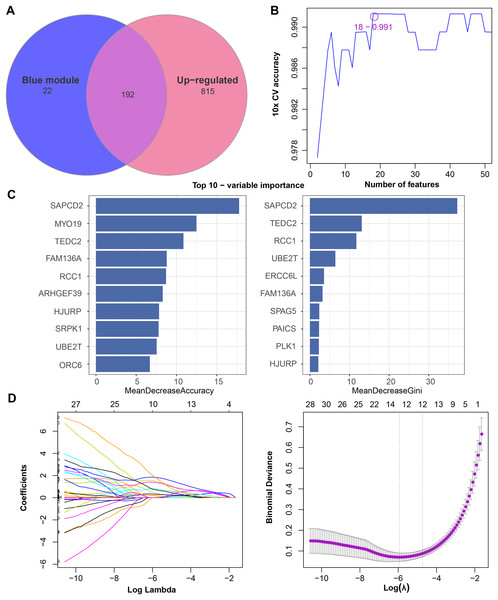 Feature genes selected by different machine learning analysis methods.