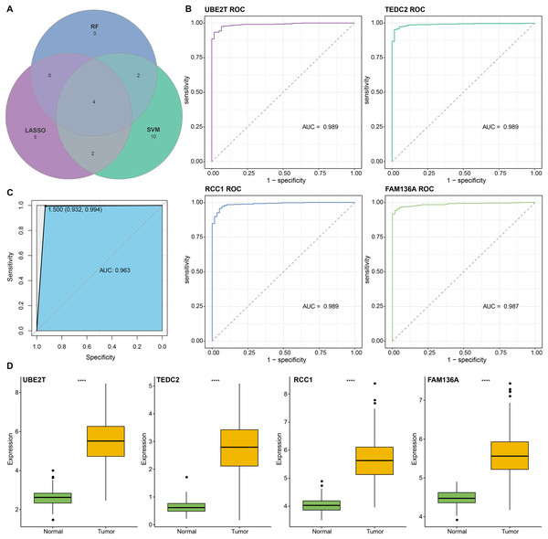 Screening and accuracy assessment of diagnostic markers.