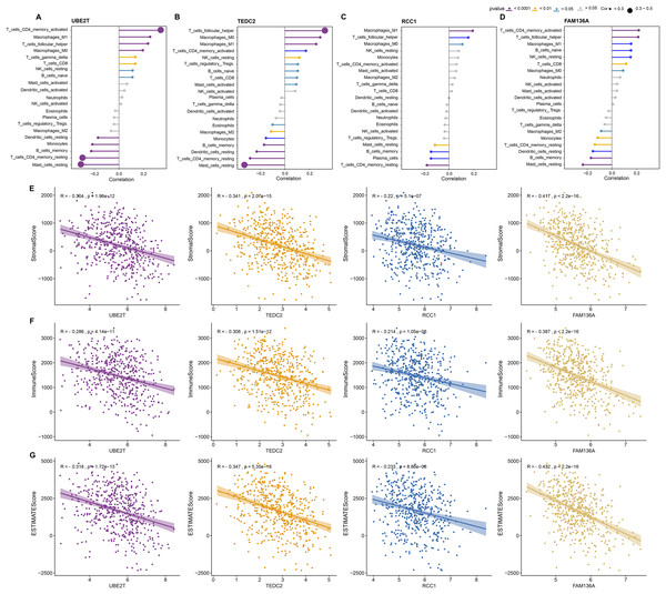 Association of diagnostic markers with TME.