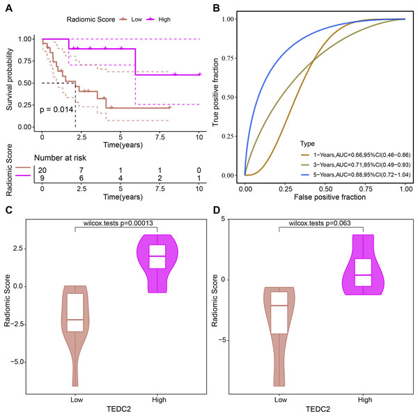 Evaluation of prognostic ability of radiomics model.