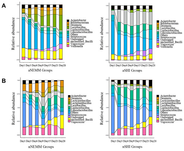 Bacterial genus change between NEMM and SHI medium over time under anaerobic condition (A) and normoxia condition (B).