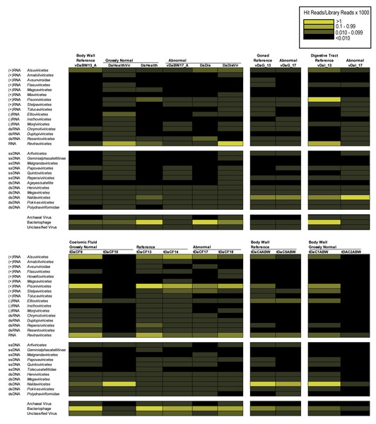 Heat map representation of viral orders in viral metagenomes (top) and transcriptomes (bottom) prepared from Diadema antillarum annotated by Kraken2.