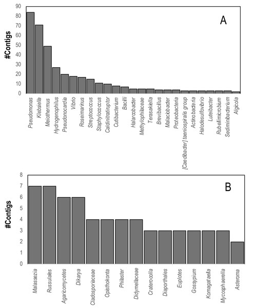 Contigs matching (A) Bacterial and (B) Eukaryal rRNAs within D. antillarum spectra.