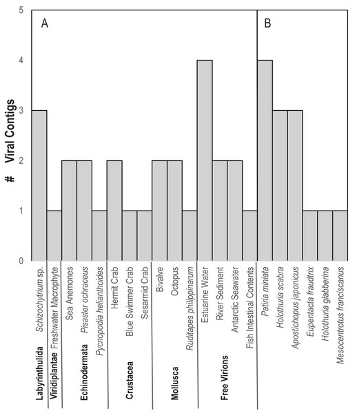 Number of viral contigs matching (A) viruses in the non-redundant (nr) database and (B) sequences in the transcriptome shotgun assembly (TSA) database at NCBI ordered by host phylum.