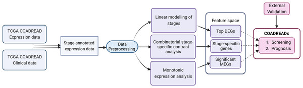 Study design for the dissection of discrete stage-wise progression of colorectal cancer.