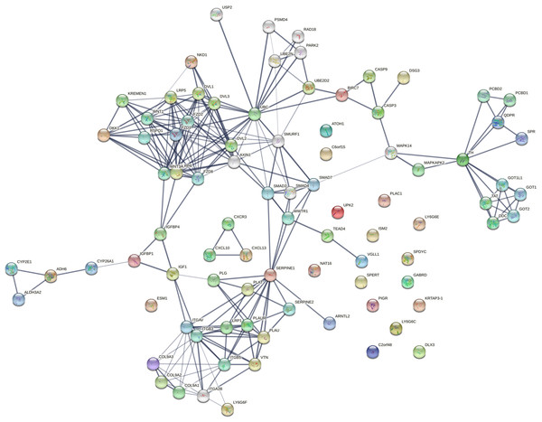 Network reconstruction of perturbed pathways with monotonic expression enrichment based on the seed set of stage-salient MEGs in TCGA COADREAD.