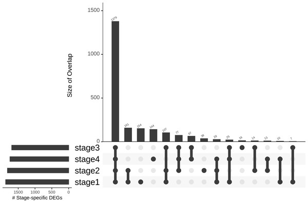 Distribution of genes based on stage-specificity.