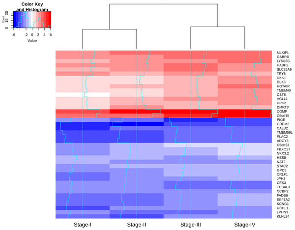 Heatmap of the lfc (with respect to control samples) of top 40 genes.