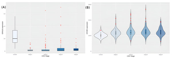 Expression trends of candidate hub-driver genes.