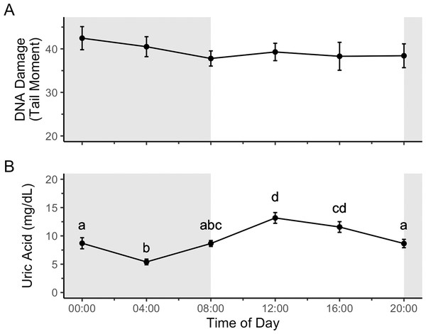 Uric acid, but not DNA damage, shows a diel rhythm in house sparrows on a 12:12 light cycle.