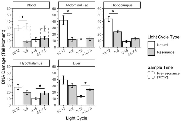 Resonance light cycles alter DNA damage in house sparrows in a tissue specific and light cycle specific manner.