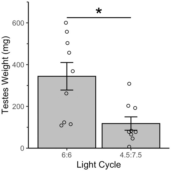 All house sparrows had enlarged testes after four weeks of a resonance light cycle.