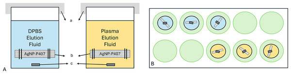 Elution setup with the individual crystallization dishes (A), and their location on the hot plate (B).