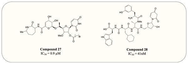 MurX inhibitors with the corresponding IC50 value.