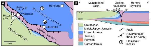 Regional geological situation.