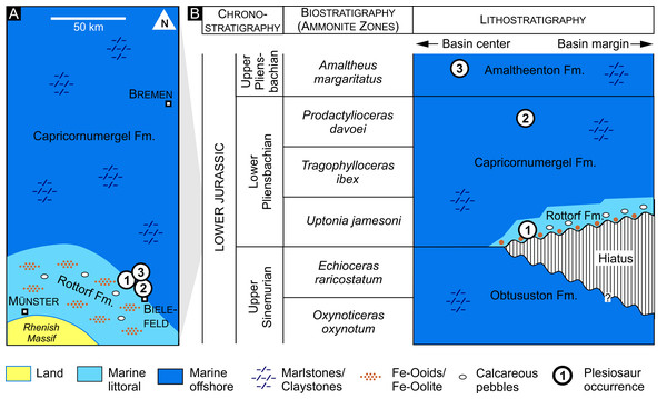 Geology and stratigraphy.