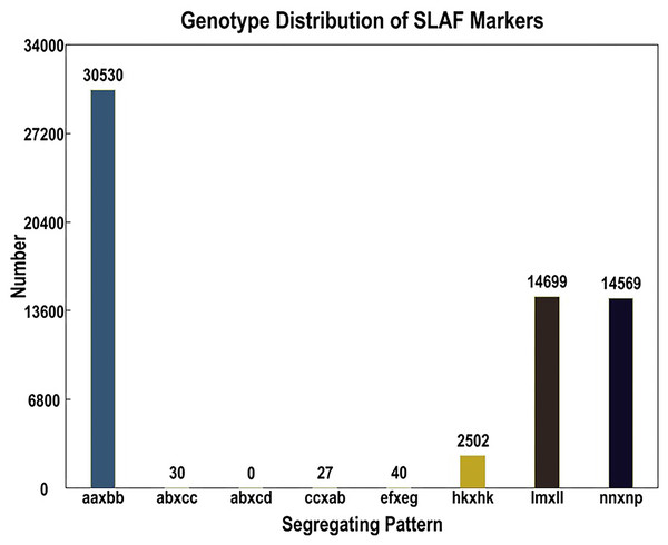 Basic statistics of specific-locus amplified fragment (SLAF) markers suitable for the population under different genotype combinations.