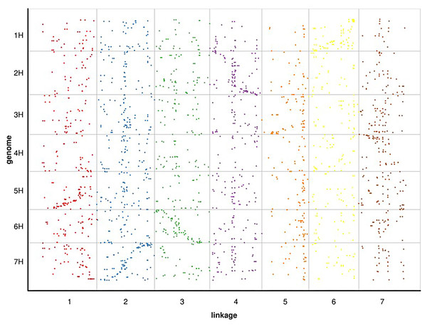 BLAST search against whole genome sequence data of barley to compare their linkage positions with Russian wildrye.