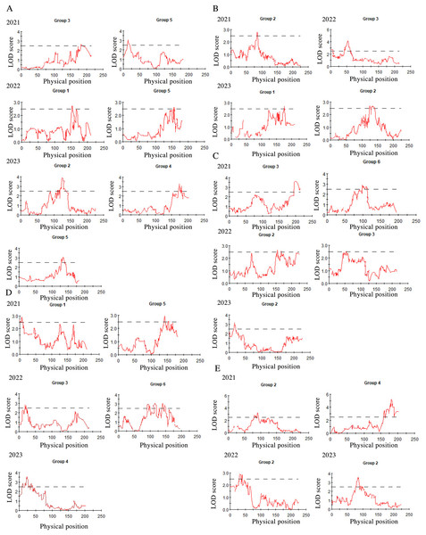 QTL mapping for plant height (A), tiller number (B), base bundle diameter (C), spike width (D) and spike length (E), in Russian wildrye, each panel shows the QTL distribution of a target trait.