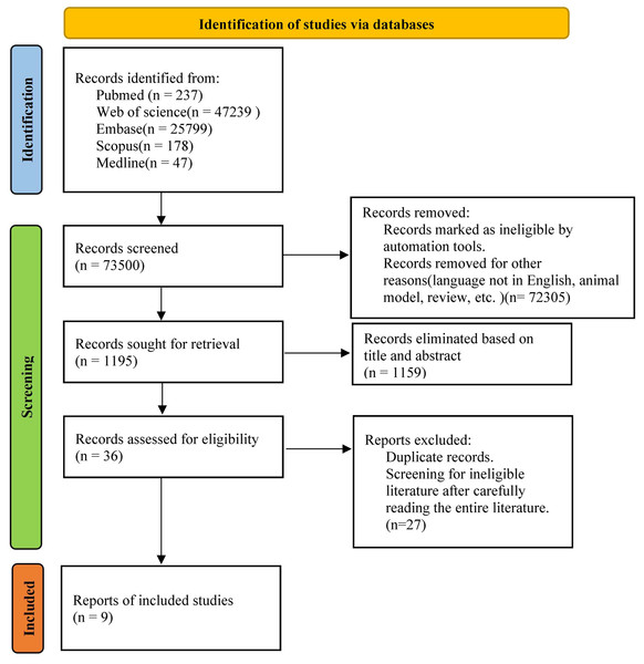 Literature screening flowchart.