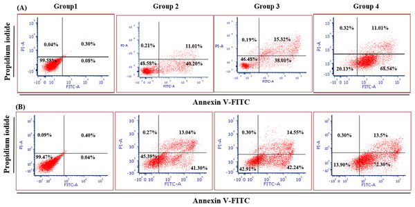 Apoptosis induction of MDA-MB-231 breast cancer cells by NK cells cytotoxicity.