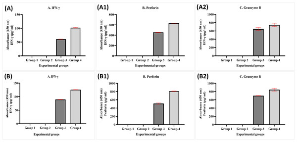 ELISA data for IFN- γ (A, B), perforin (A1, B1), and granzyme B (A2, B2) levels in both healthy donors (n = 3) and breast cancer patients (n = 3) for experiment groups.