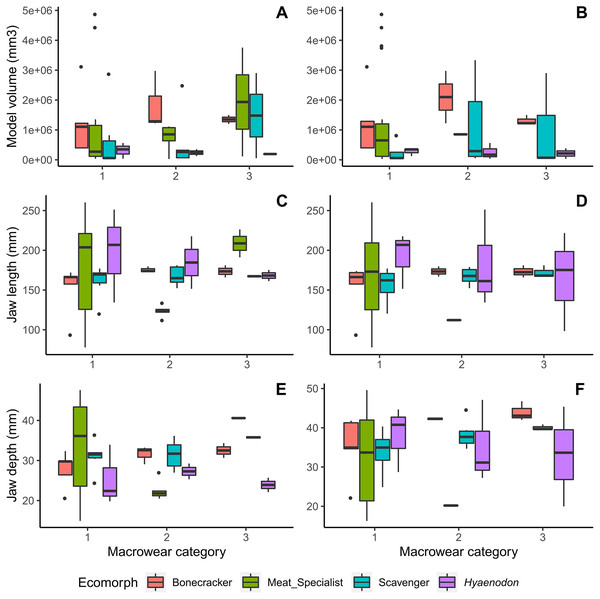 Boxplots of jaw dimension values by macrowear category.
