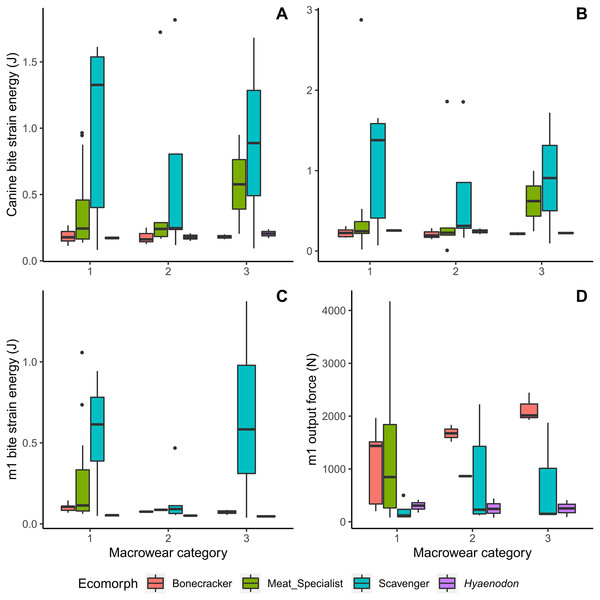 Boxplots of biomechanical model strain energy and bite point reaction force values by macrowear category.