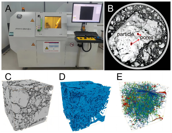 Computed tomography (CT) and three-dimensional structural characterization of soil pores.