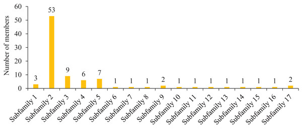 Domain composition and number of members of 17 subfamilies of 92 HvMYB proteins.