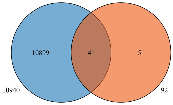 Venn diagram of Blue Qingke and White Qingke RNA-seq differential gene and 92 identified genes.