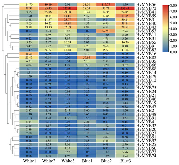 Expression profiles of 41 differential genes in Blue Qingke and White Qingke.