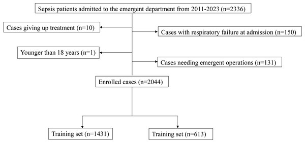 The inclusion and exclusion process of enrolled participants in this study.