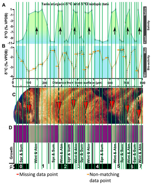 Misaligned data points of Figure 2 of DePalma et al. (2021).